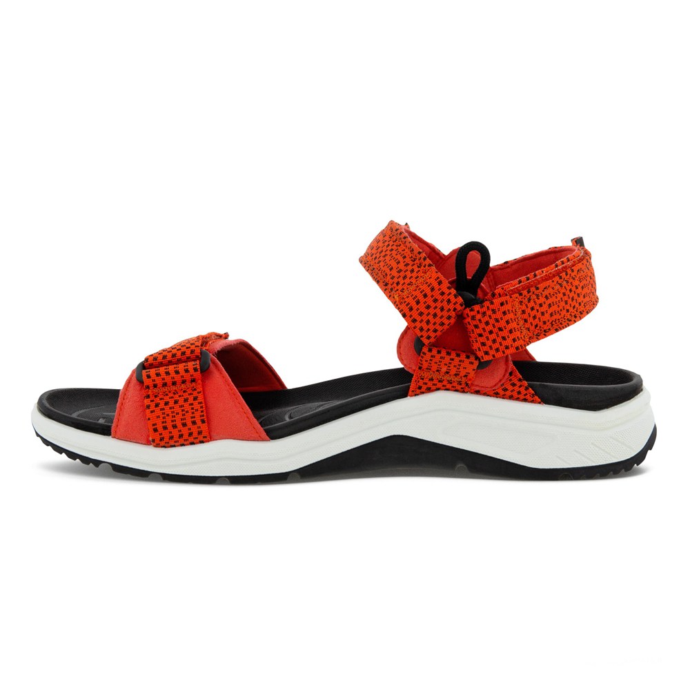 Sandalias Hombre - ECCO X-Trinsic 3S Water - Rojos - YCK873029